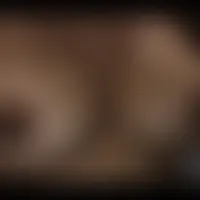 Natcoquine