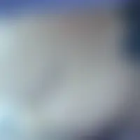 Laitue69