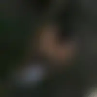 Miosolo