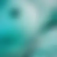 Xmind666
