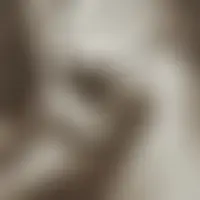 Ccyg