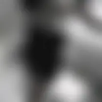 Secret2nous