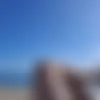 Oliv0634