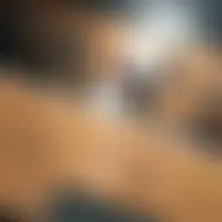 Nina