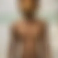 Jino67