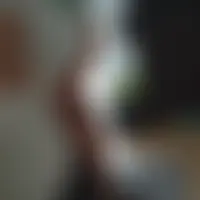 Virlu85