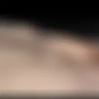 Streedo