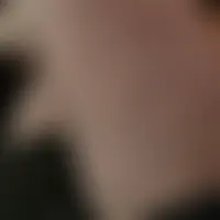 Elve68