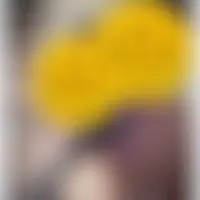 Celama