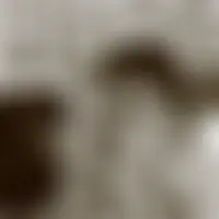 Zoulou27