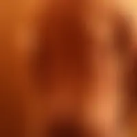 Papyllon3