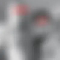 Bi56