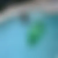 Bingocpl