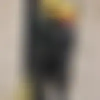 Mdgl