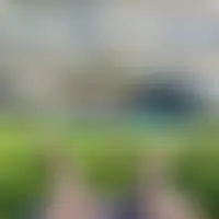 Lg17