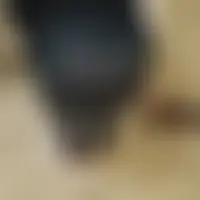 Enjoy17