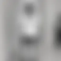 321loupe