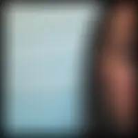 Cloclo33