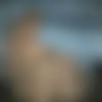 Colau2051