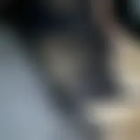 Couplecoquin2