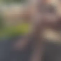 Couple379096