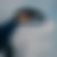 Jamesb0