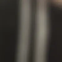 Xeu44
