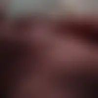 Vigialex