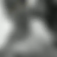 Freddyblack