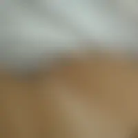 Leallou
