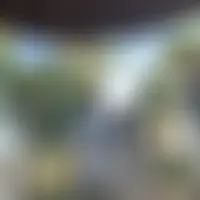 Bzh2929