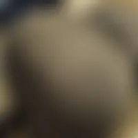 Couplebeubeu77