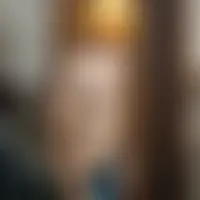 Robin6699