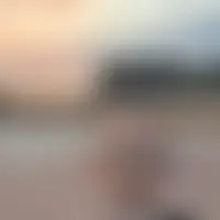 Mistercokin77