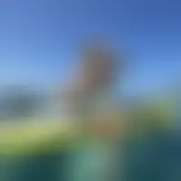 Y1y1