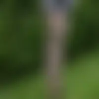 Ellui68