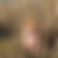 Lyaa