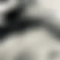 Gustav