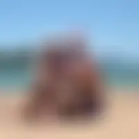 Leojo69