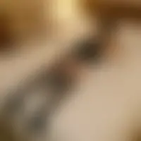 Loro06400