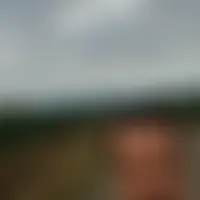 David68680