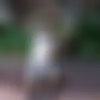 Tisan