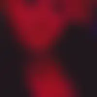 Sarami
