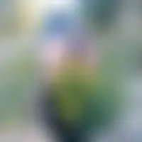 Analisa83