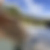 Xmind666