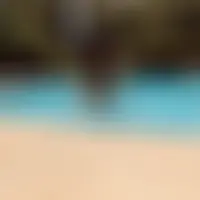 Plaisirscelestes