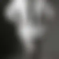 Lili76000