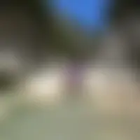 Lalphadoux