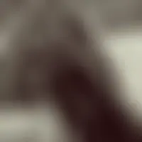 Mm00