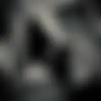 Lesfelins